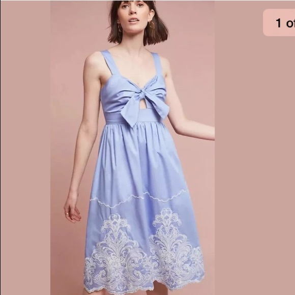 Anthropologie Dresses & Skirts - Anthropologie Foxiedox Uma Embroidered Dress